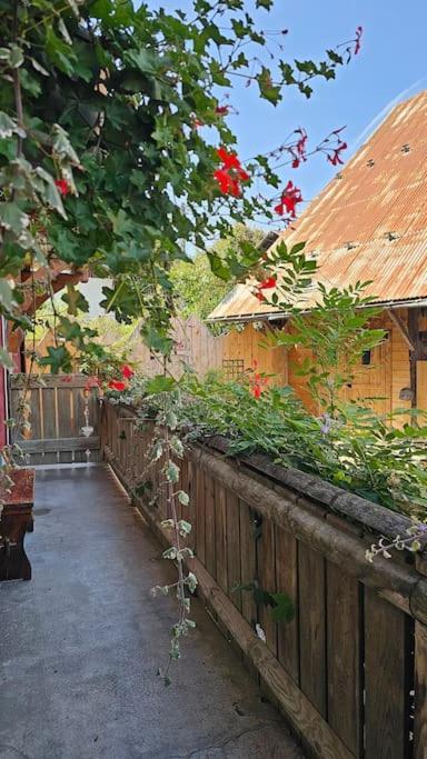 Le Banc Des Seilles Villa Bonvillard Екстериор снимка